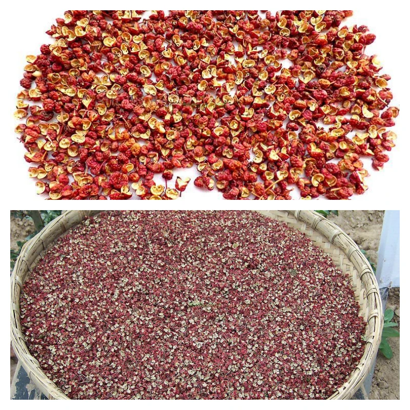 Sichuan Pepper Medicinal Uses