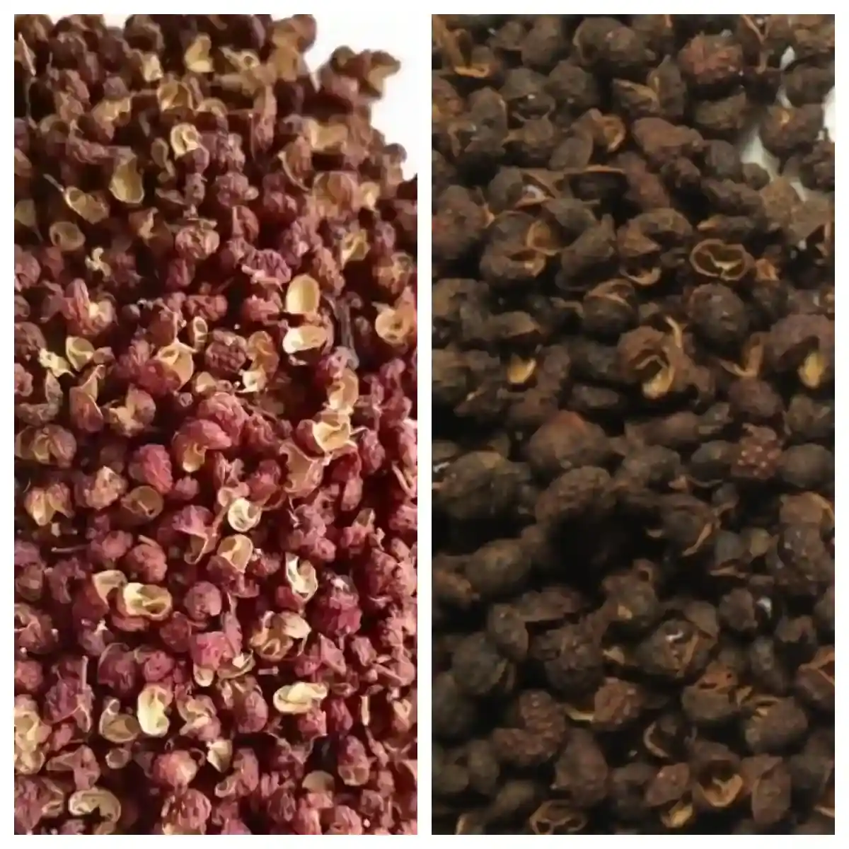 A Taste of Spice: Szechuan Pepper vs Black Pepper